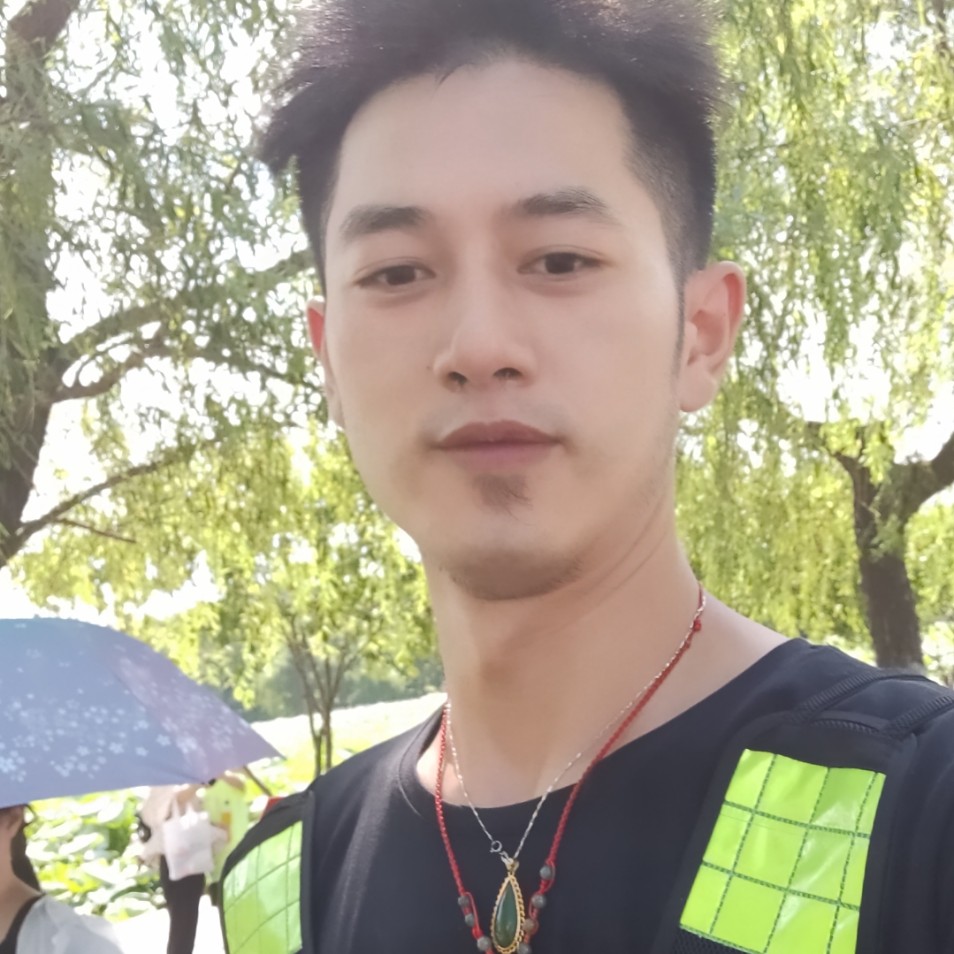 冰封杭州西湖的照片