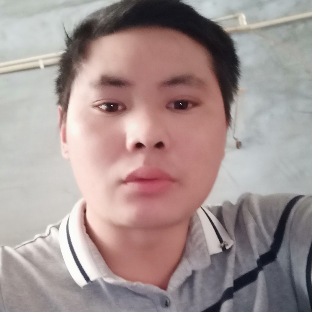 黑猫俭朴的照片