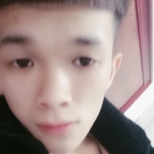 黄蜂明亮的照片