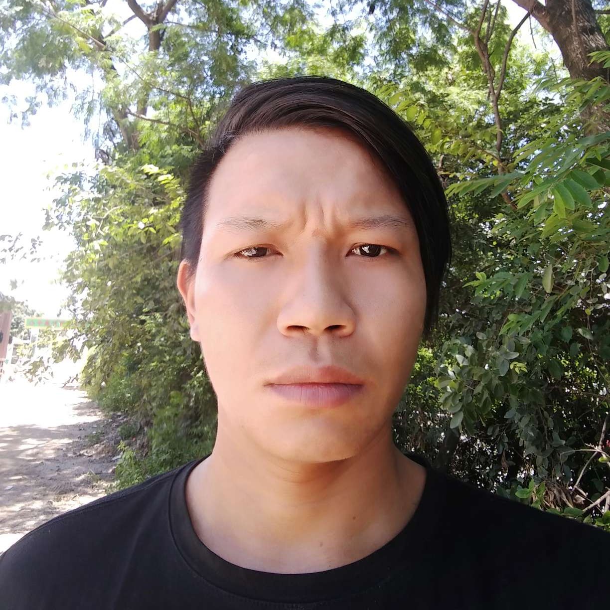 蚂蚁吃醋典雅的照片