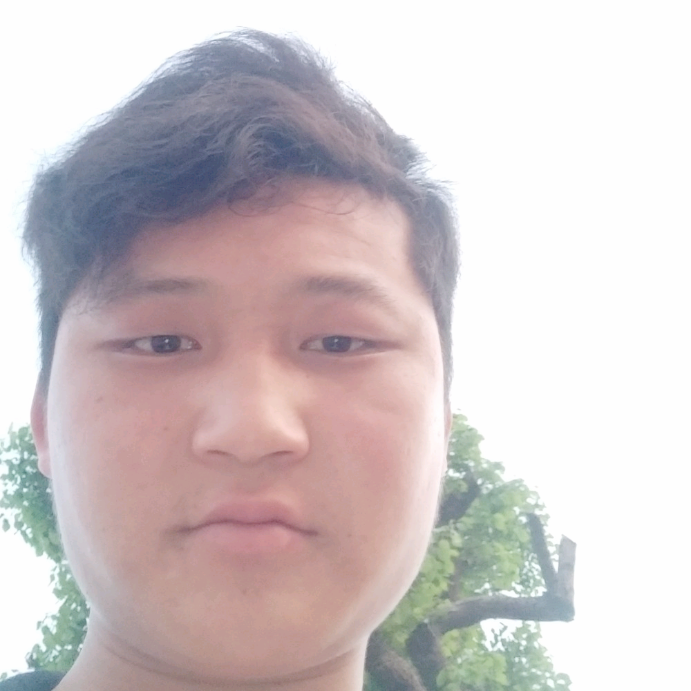 冬日还狂野的照片