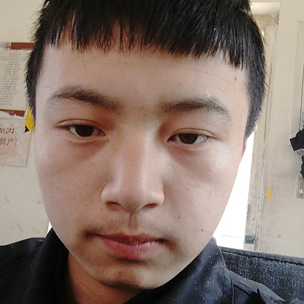 邢林峰的照片