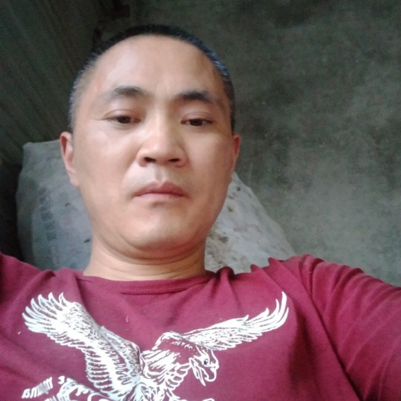刀剑如风的照片
