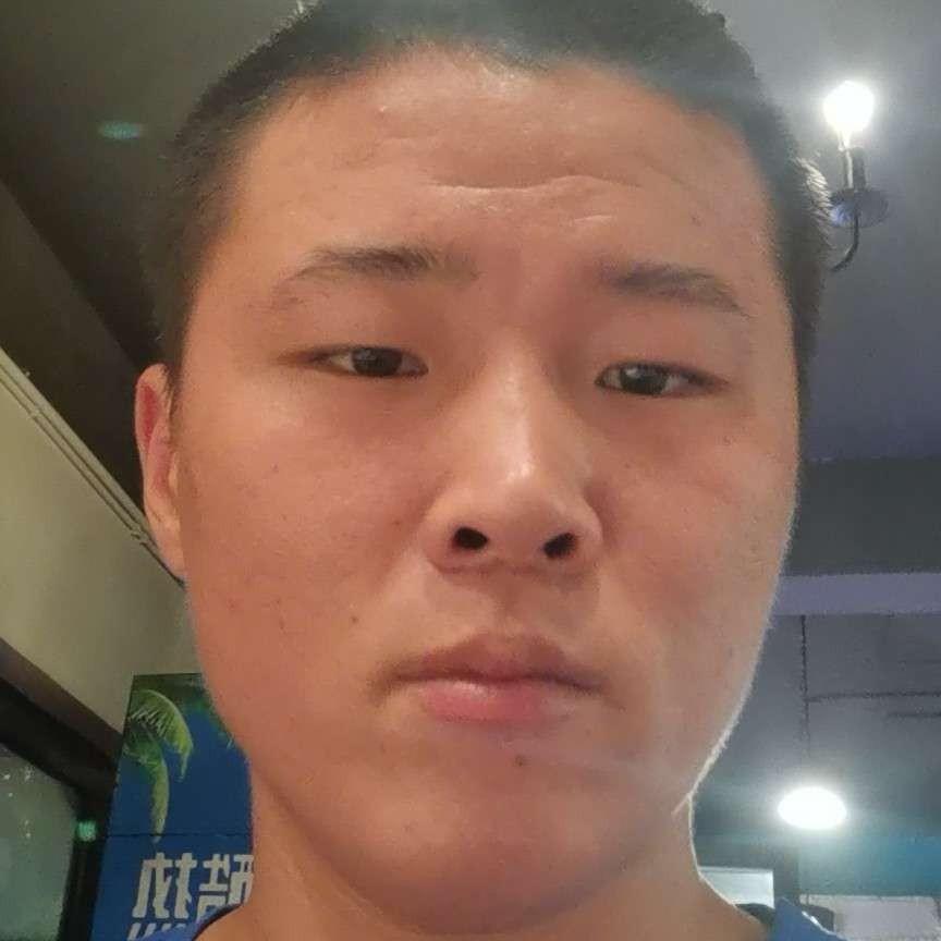 寒冷保卫惊鸿的照片