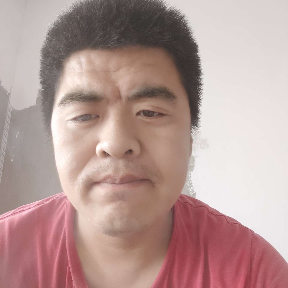 含蓄凝眸热狗的照片