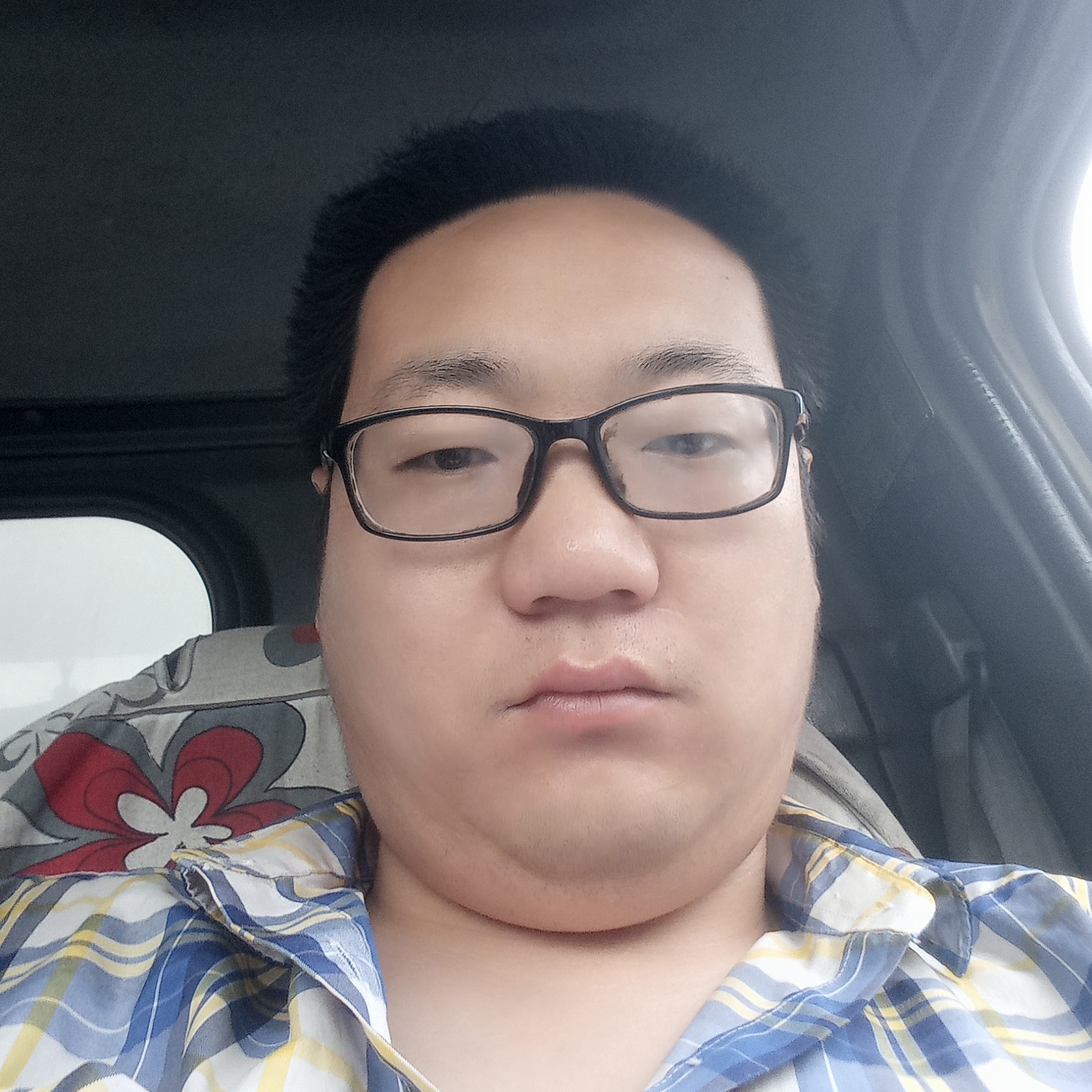 鹏总万里的照片