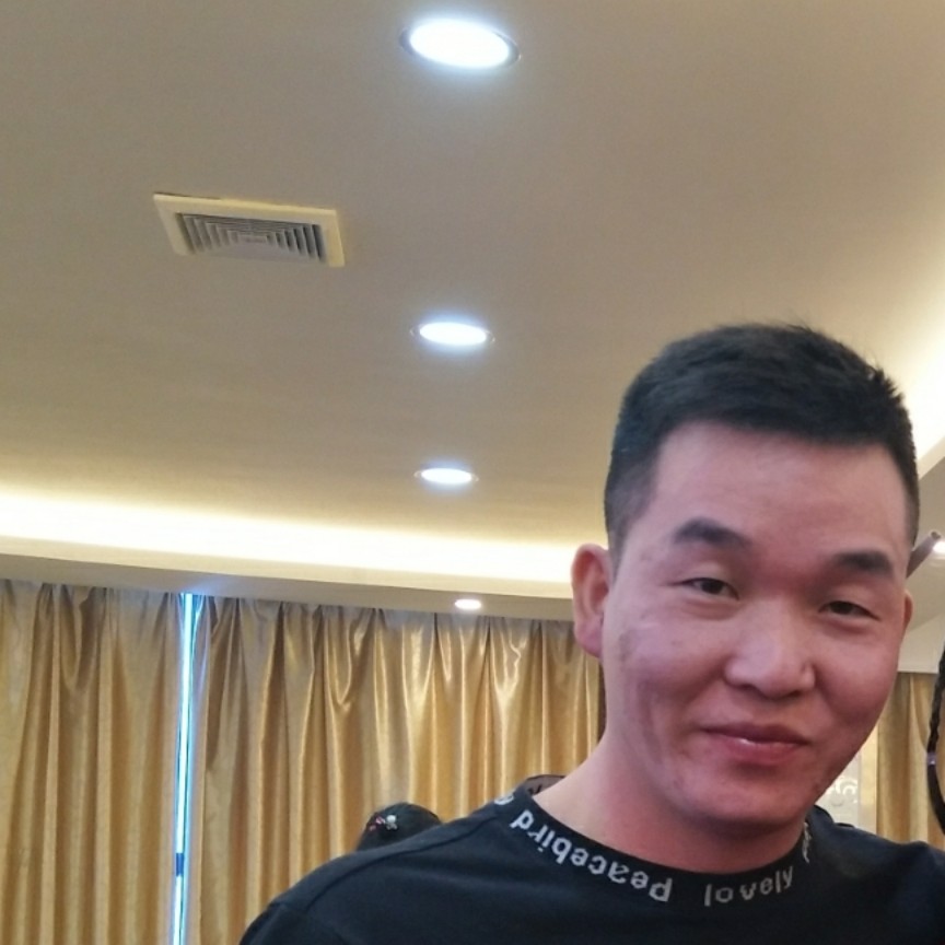 小海豚还谁的照片