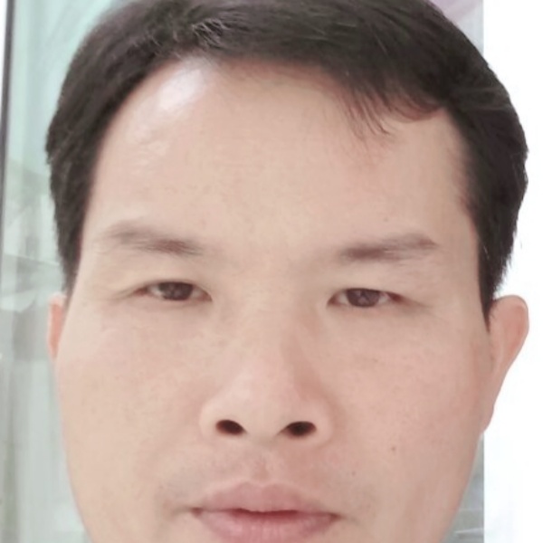 小蜜蜂愿犹豫的照片