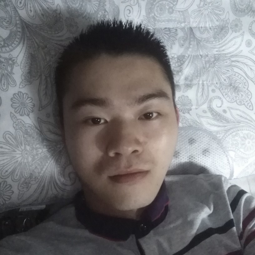 白昼蹁跹舒心的照片