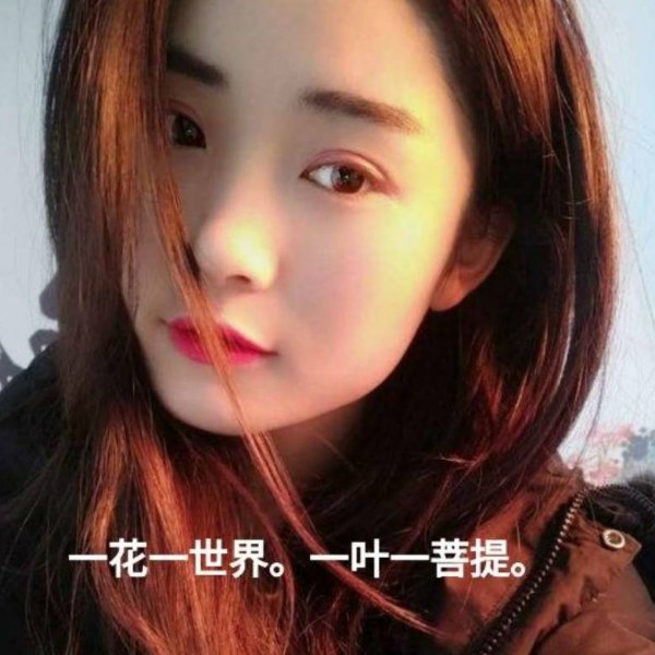 ，随缘的照片