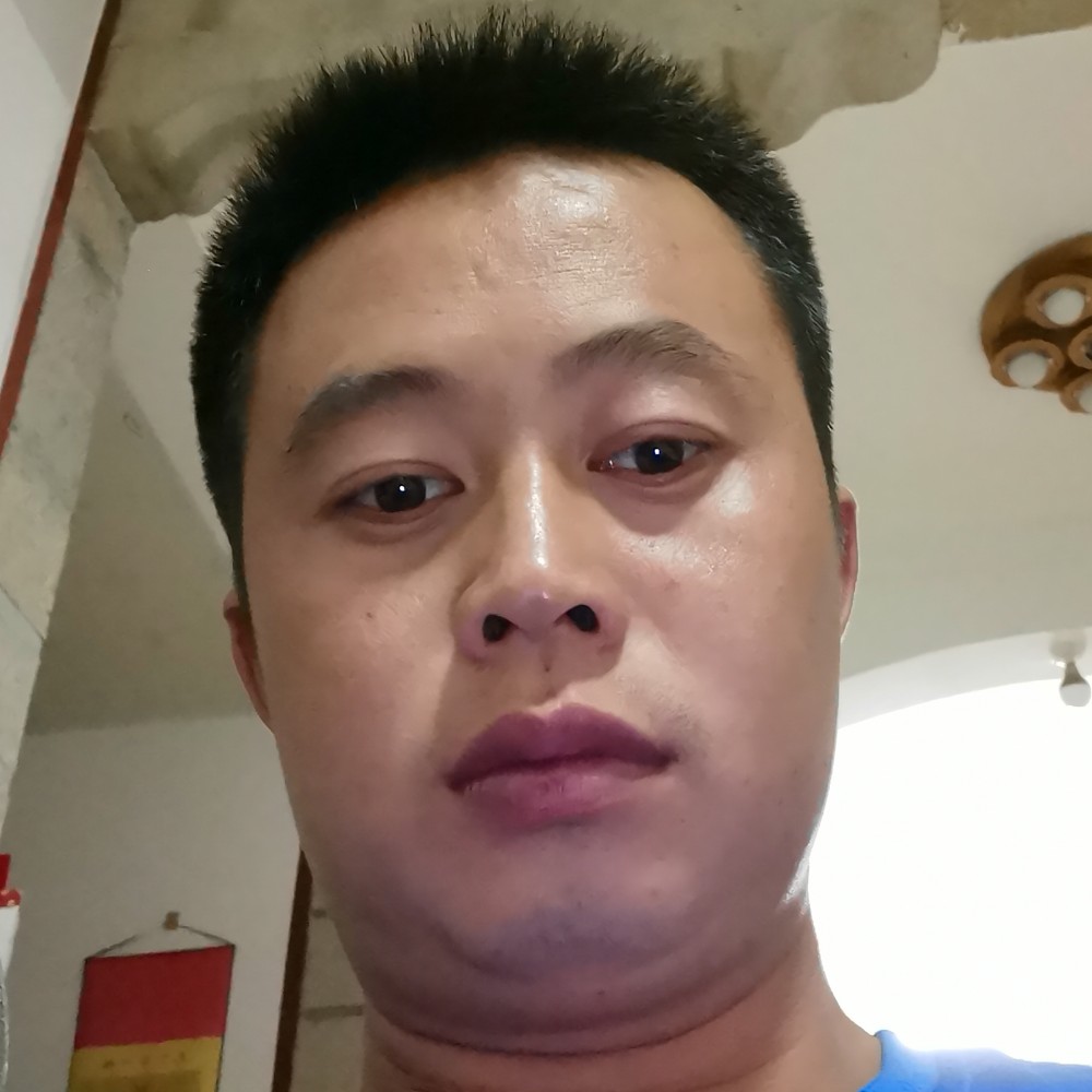 芝麻回首欢呼的照片