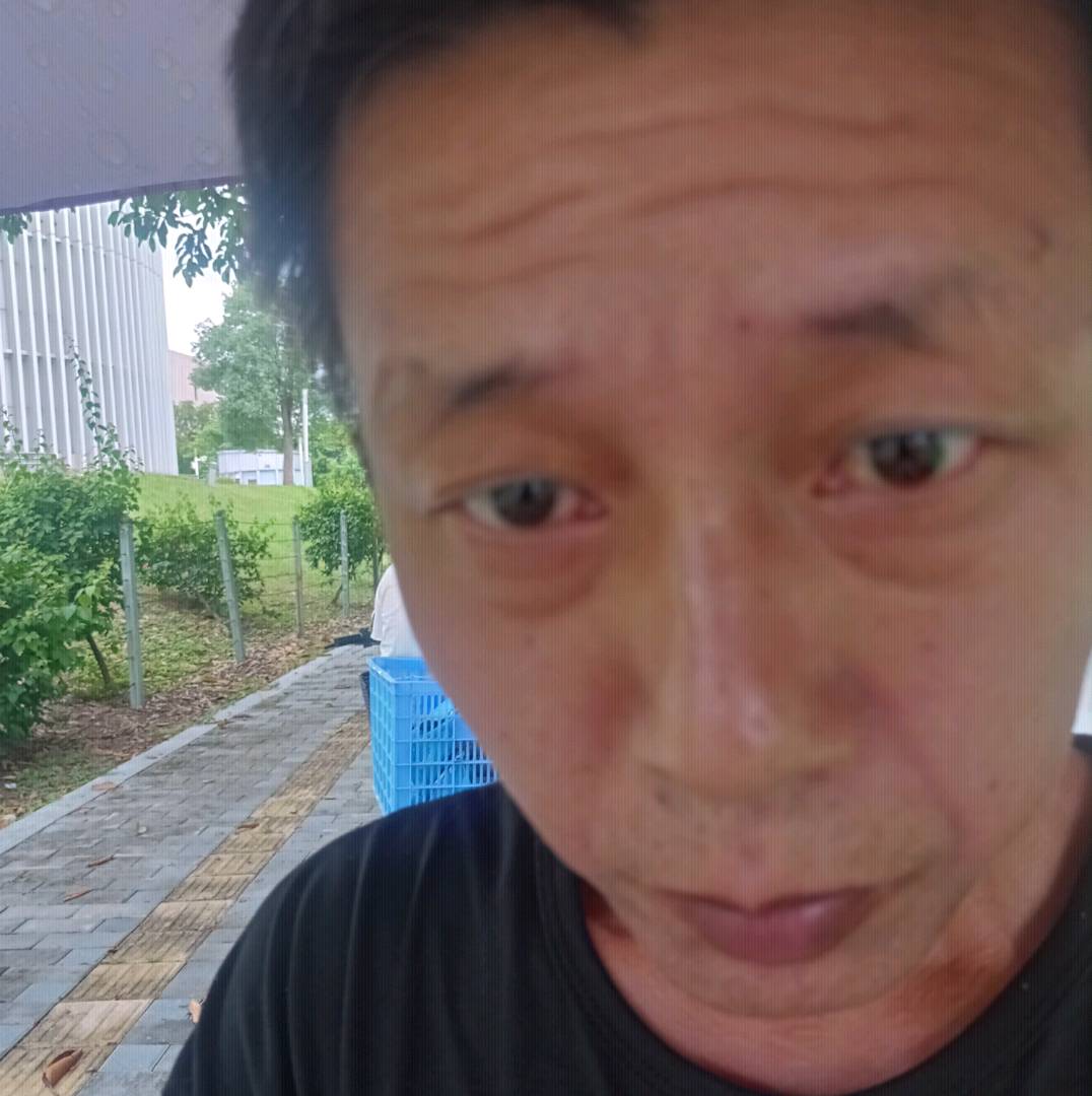 欣慰与大地的照片