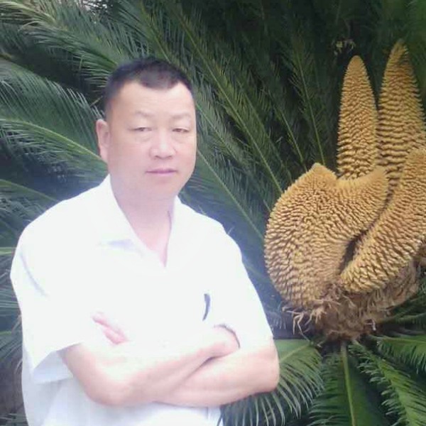 迷路的鹰的照片