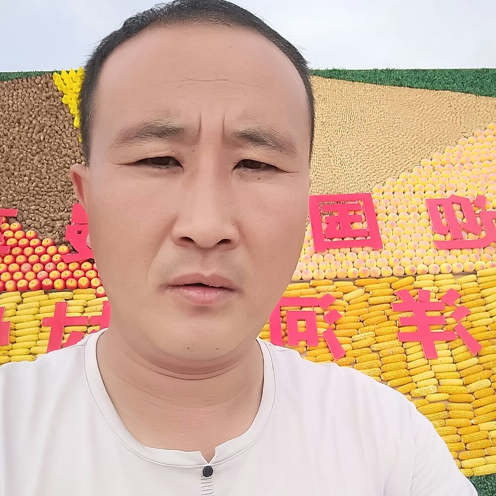 星光璀璨！的照片