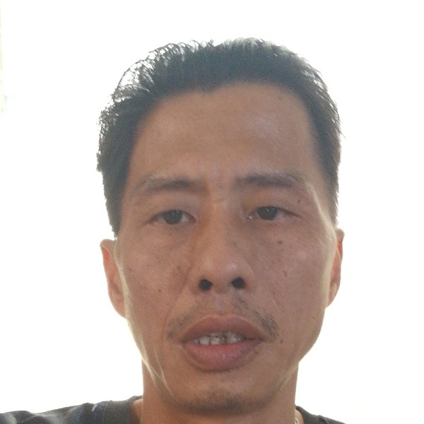 小庄稼的照片
