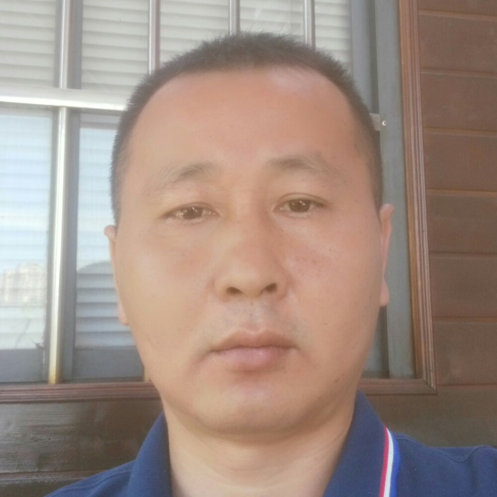 羽毛认真的照片