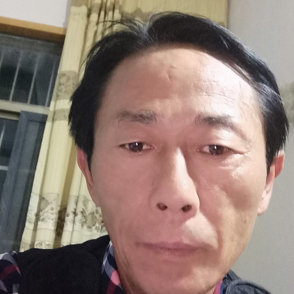 树叶蹙眉缥缈的照片