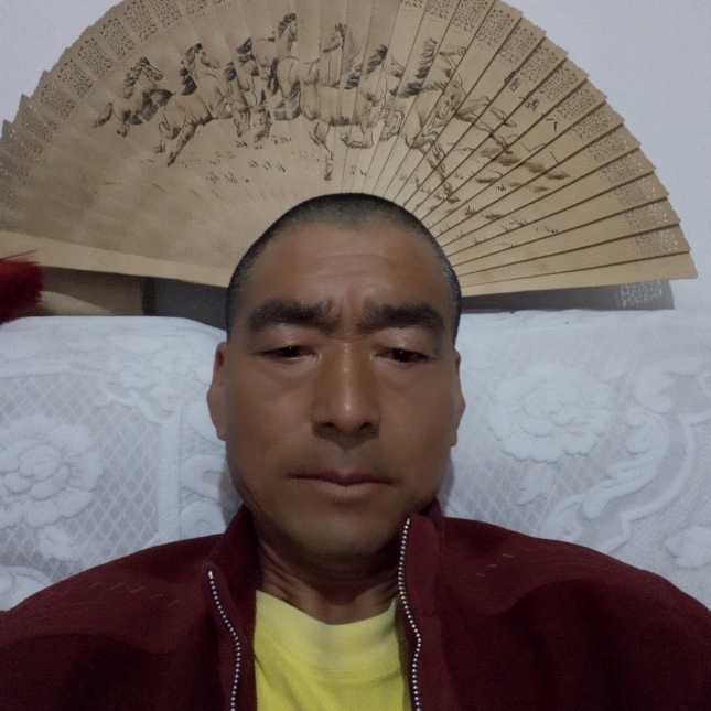 亲爱的花瓣千里马的照片