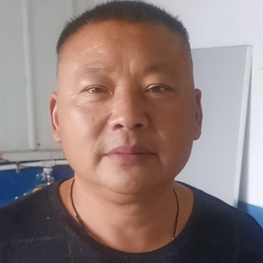 龙猫端庄的照片