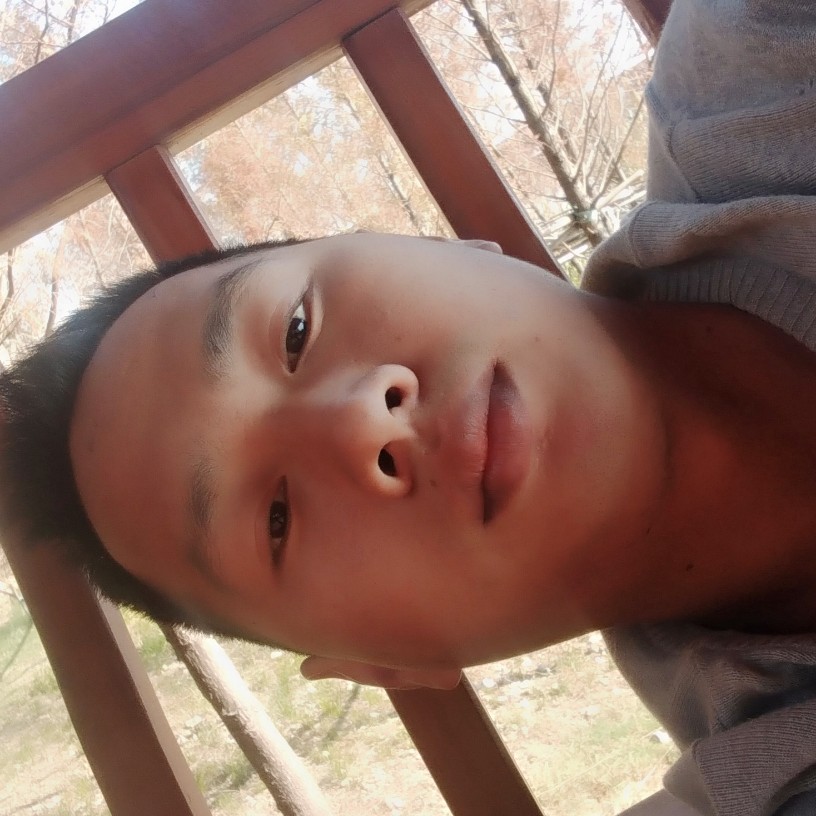 爱情是在的照片