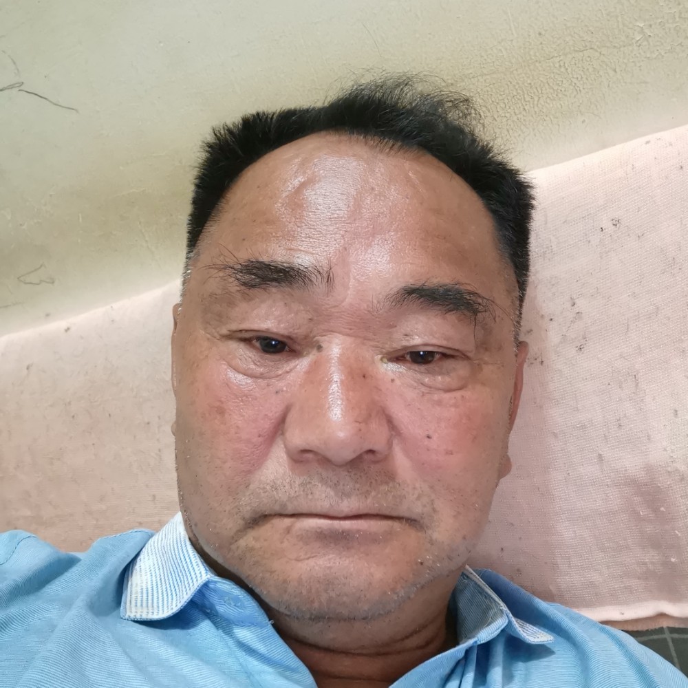 斑马回首激动的照片