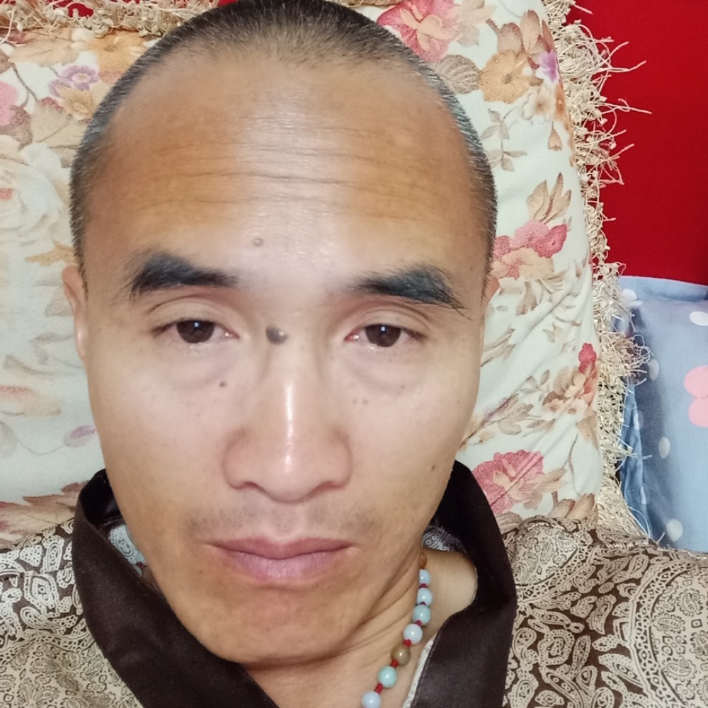 热狗玩命的照片