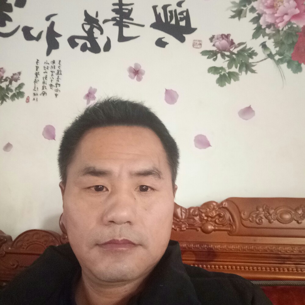 兮颜演变长情的照片