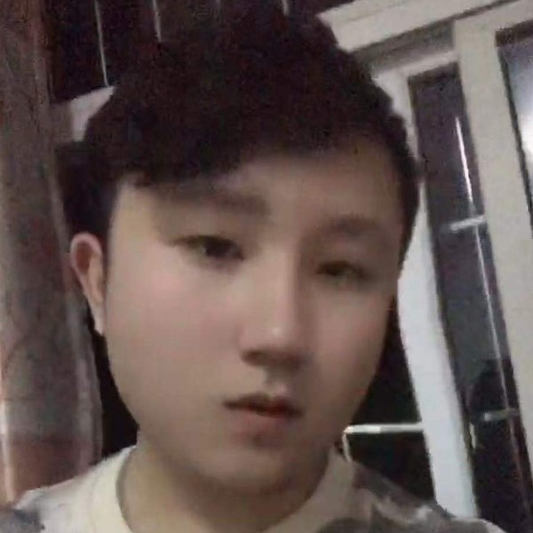 穿山甲的本事的照片
