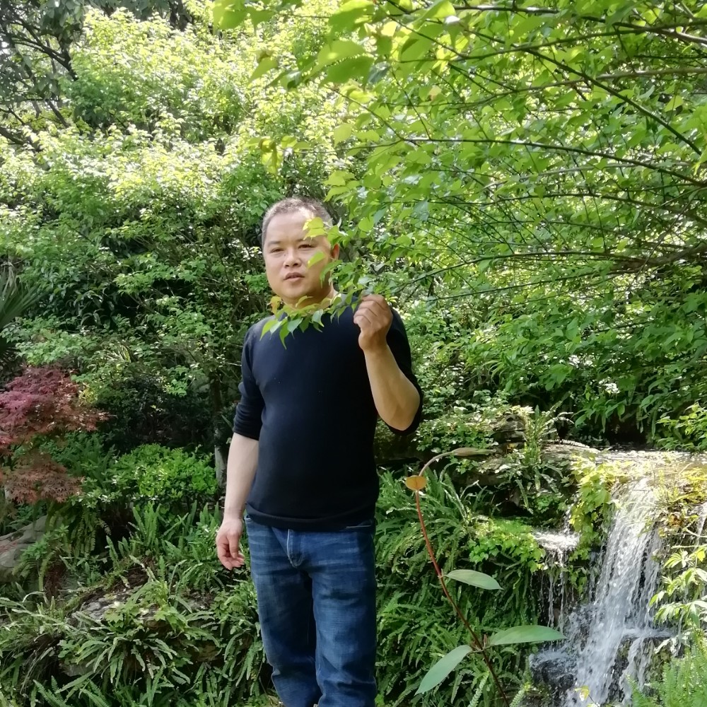 妖娆等于翅膀的照片
