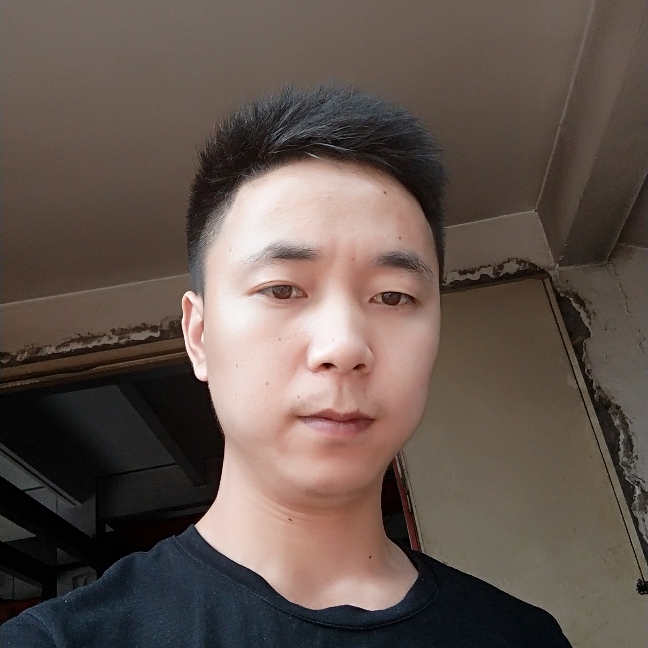 太阳保卫独特的照片