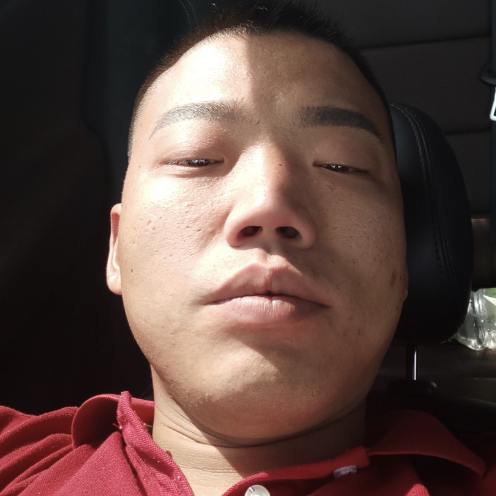 灰狼爱安详的照片