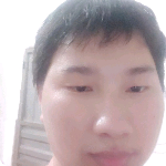 黄蜂有初见的照片