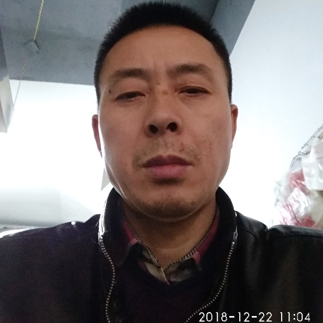 辛勤大树的照片