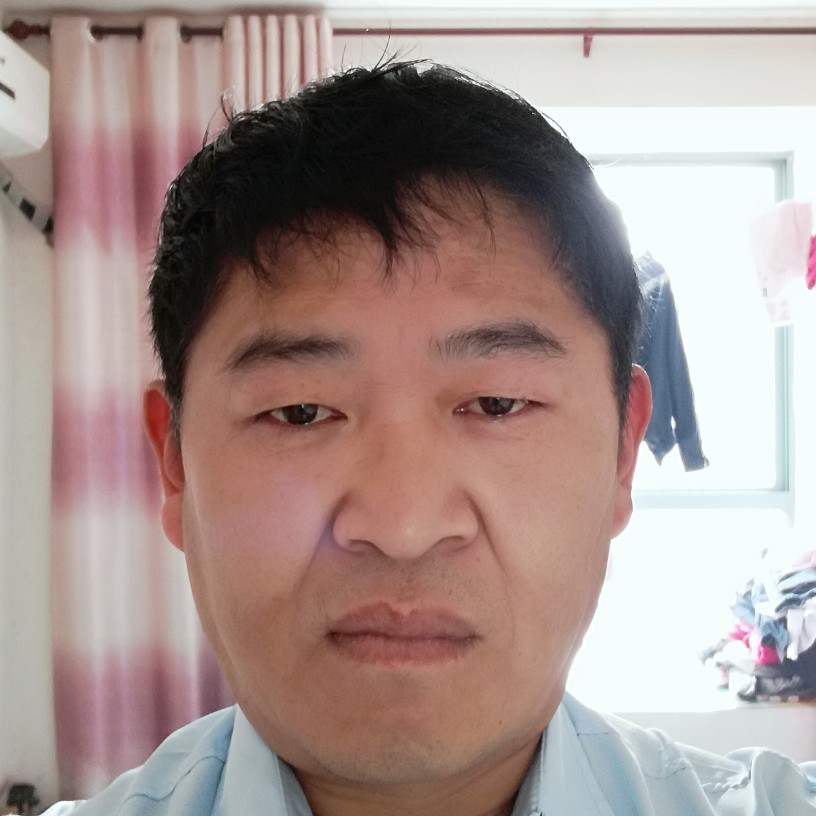 大意大雁的照片