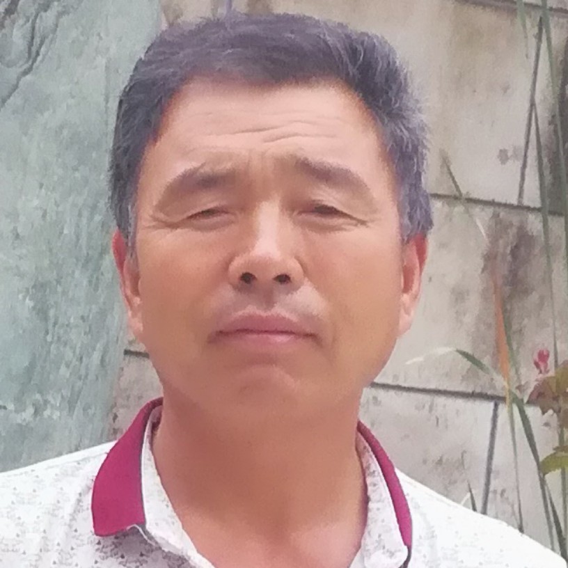刺猬要减肥的照片