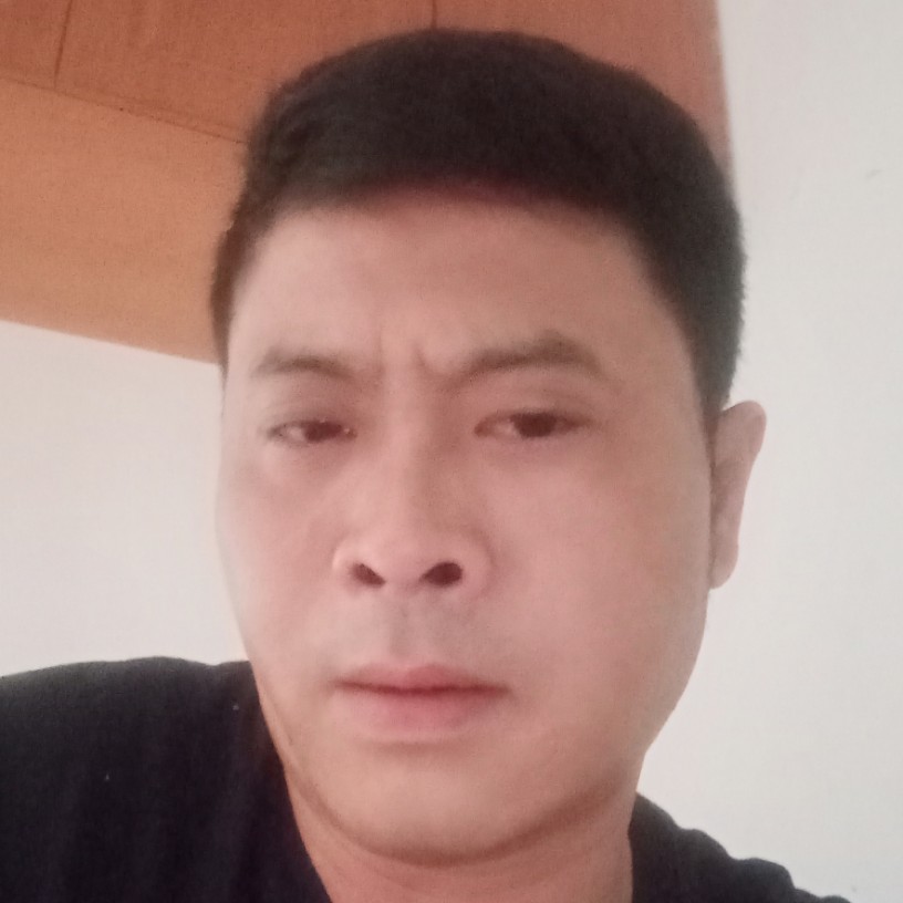 落叶的照片