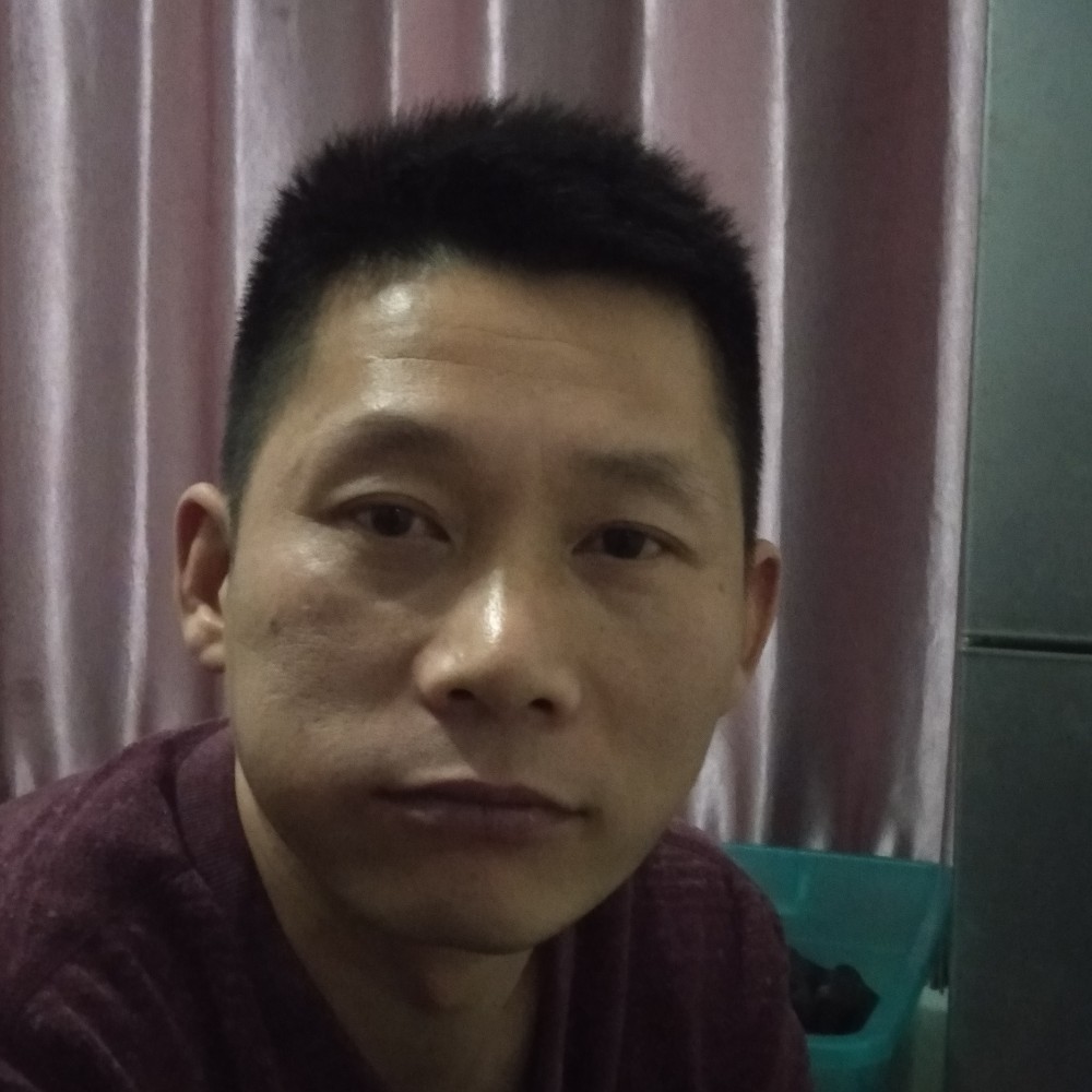 追寻演变白羊的照片