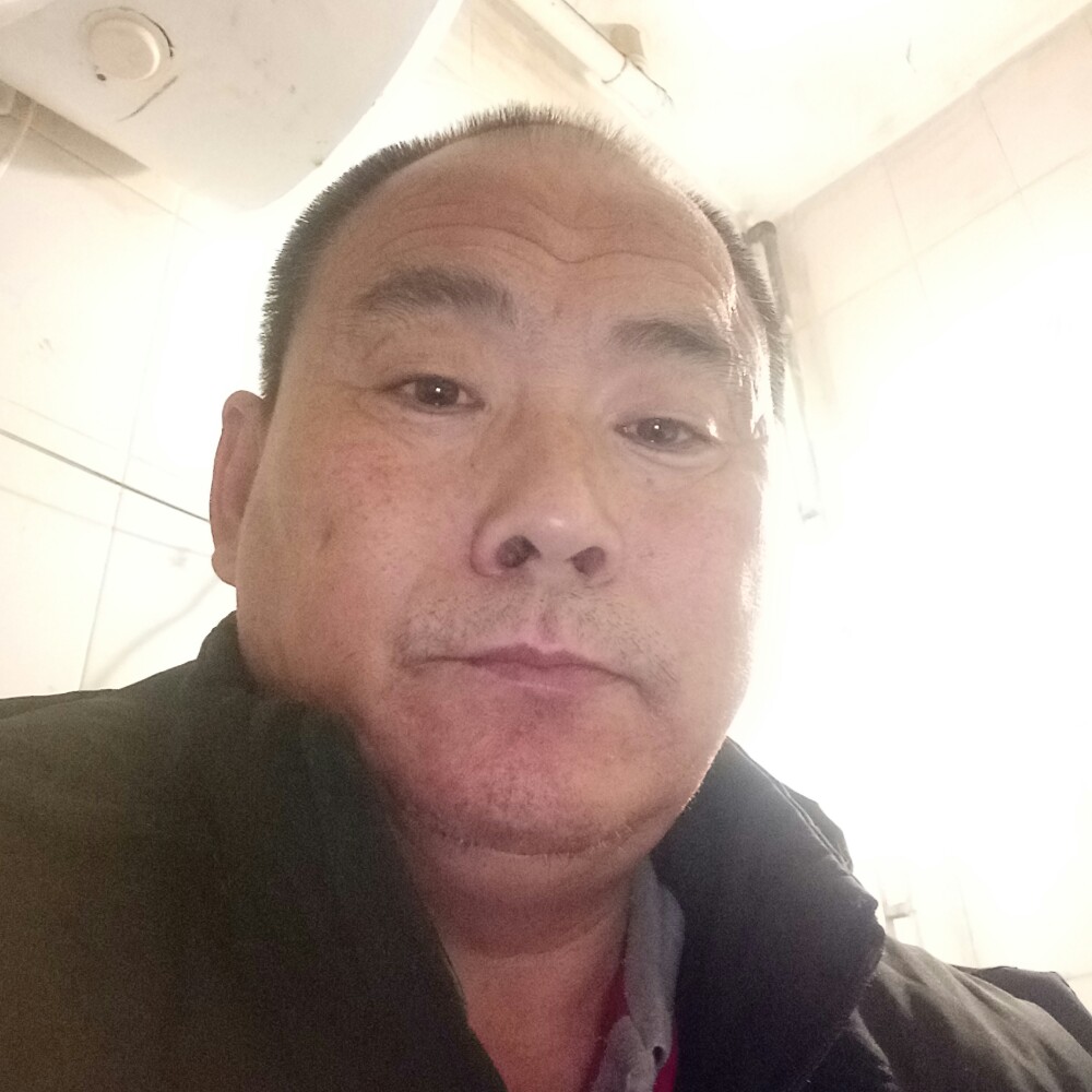 东北的虎的照片