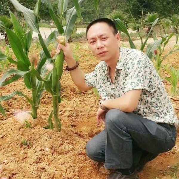 Незабыва的照片