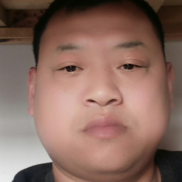 虎小子的照片