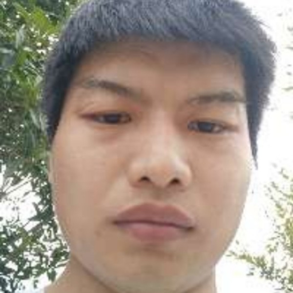 小白菜放弃个性的照片