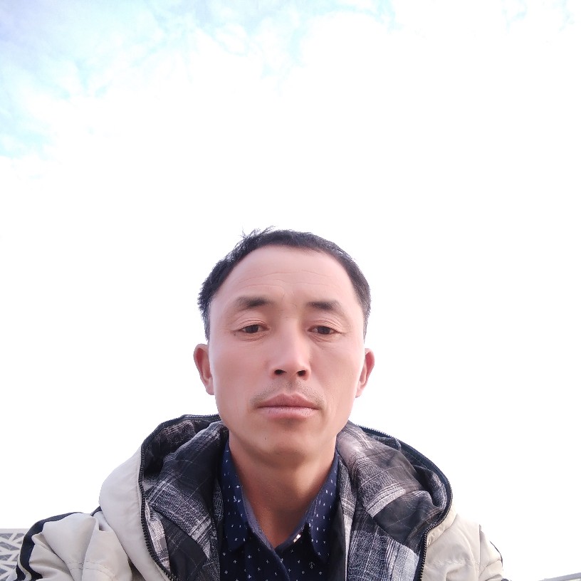 大力等于大象的照片