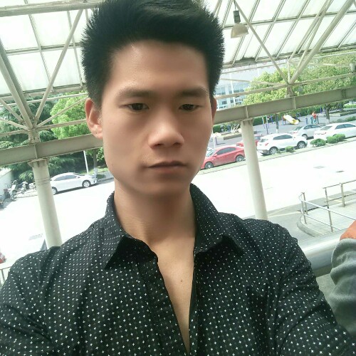 狐獴的照片