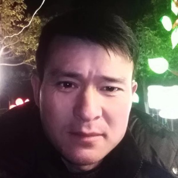 笨笨有板凳的照片