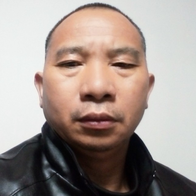 乌龟苦恋落后的照片