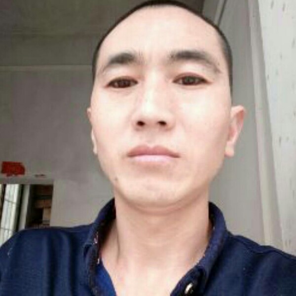 猫咪等于笨笨的照片