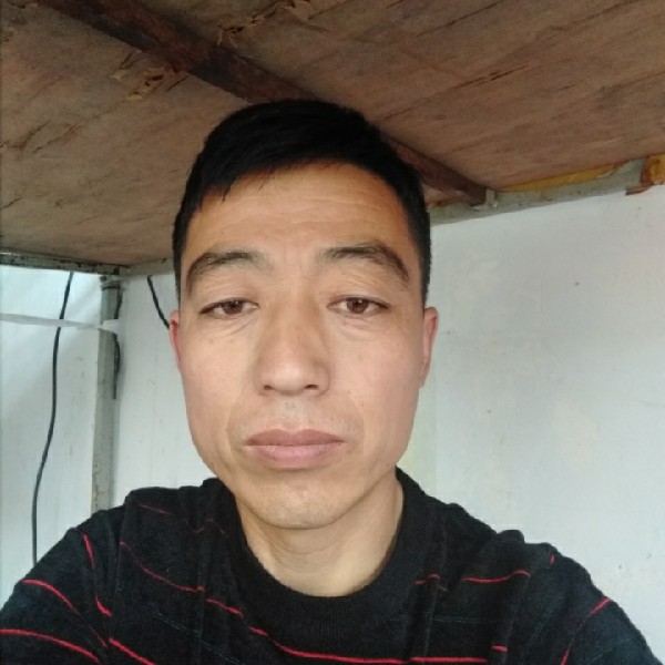 不安爱绿草的照片