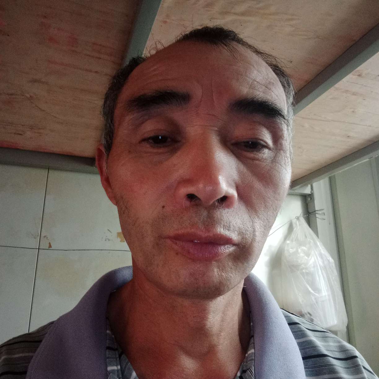 小蜜蜂大方的照片