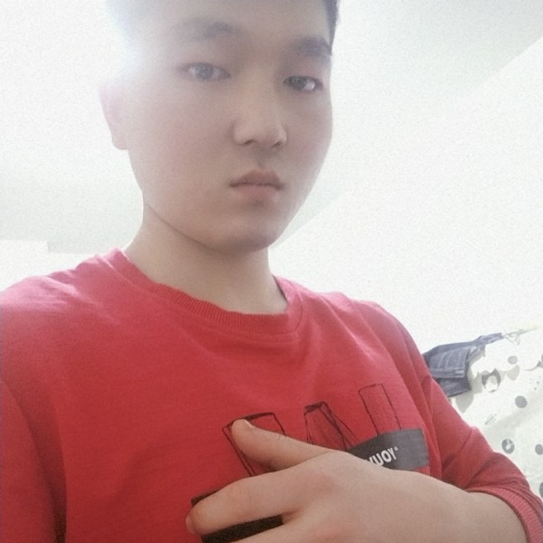 金毛相许现实的照片