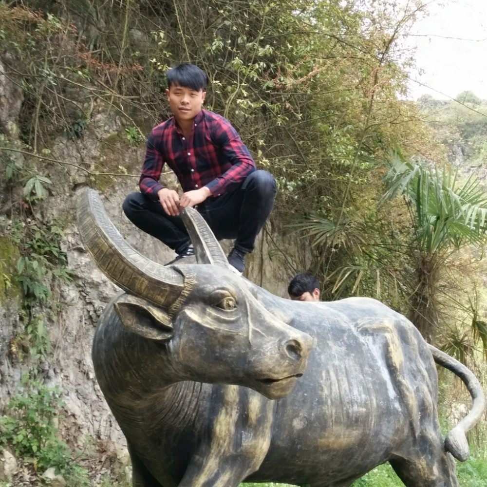 沉静小松鼠的照片
